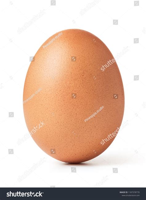 Best Egg Royalty Free Images Stock Photos And Pictures Shutterstock