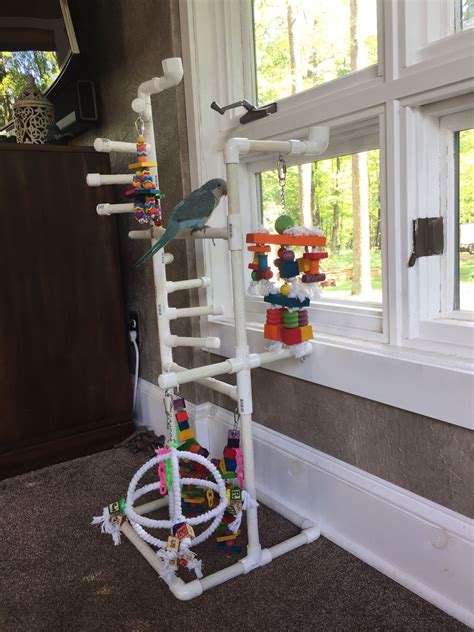 Diy Parrot Toys, Diy Bird Toys, Diy Birds, Diy Toys, Parrot Perch Diy ...