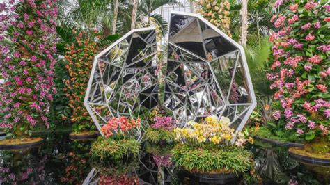 New York Botanical Garden's orchid show returns with kaleidoscopic vision