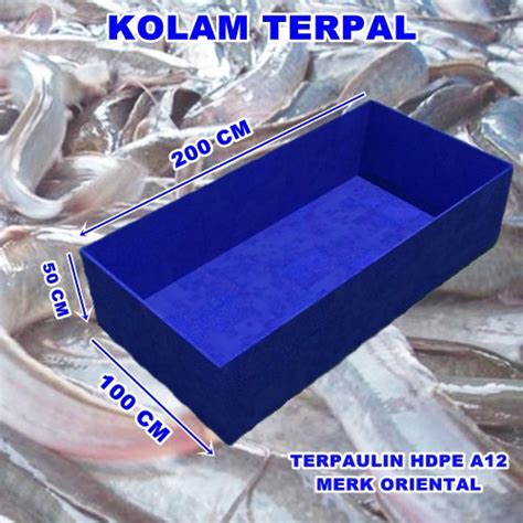 Jual Kolam Ikan Terpal Ukuran 200 Cm X 100 Cm X 50 Cm Terpal Kolam