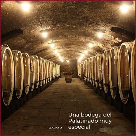 Una bodega del Palatinado muy especial wein plus Revista vinícola