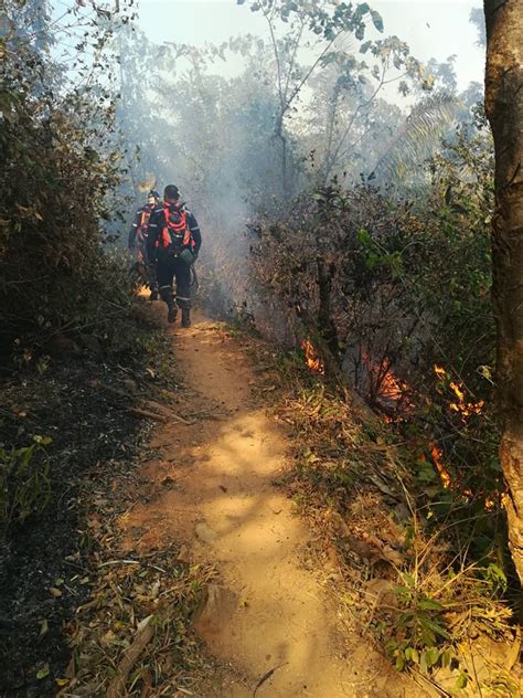 Contin An Activos Incendios Forestales En Colombia Seg N Ungrd