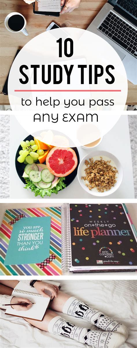 10 Study Tips To Help You Ace Any Exam - Society19 Canada