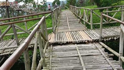 Nikmati Keindahan Wisata Kebun Teh Tambi Di Wonosobo Jawa Tengah Dengan