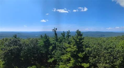 Best Hikes and Trails in Mount Grace State Forest | AllTrails