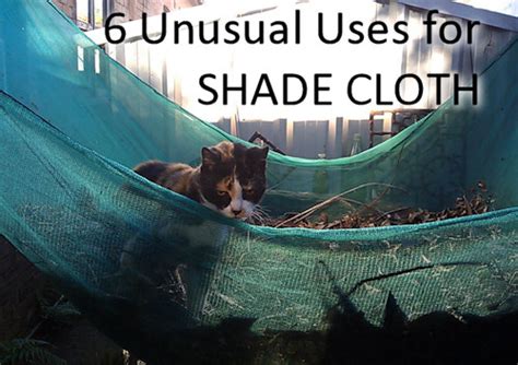 6 Unusual Uses for Shade Cloth - Dot Com Women