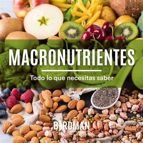 Macronutrientes Todo Lo Que Necesitas Saber Vida Birdman Blog Vidabirdman