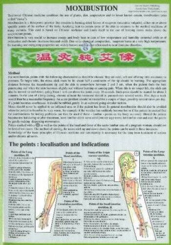 Moxibustion Laminated Folded A By Baarle Jan Van Ebay