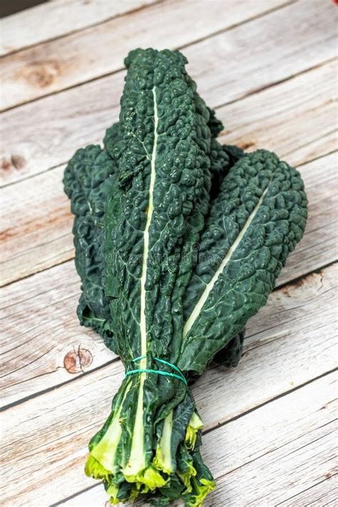 Black Kale Italian Kale Tuscan Kale Lacinato From Organic Farming