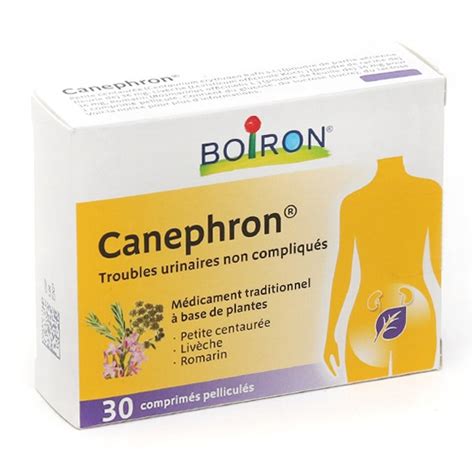 Canephron Homéopathie Infection Urinaire Traitement Cystite