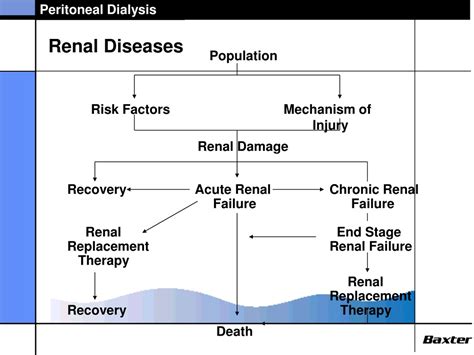 PPT - End Stage Renal Disease Causes and Treatment Methods PowerPoint