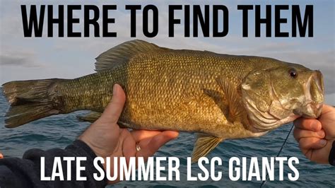 Lake St Clair Smallmouth Bass Fishing Report Late Summer Where To