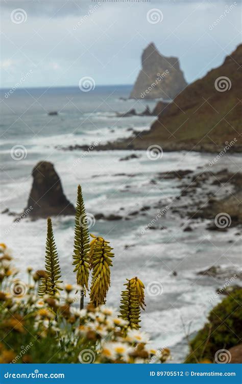 Beijo beach stock photo. Image of cape, landscape, beach - 89705512