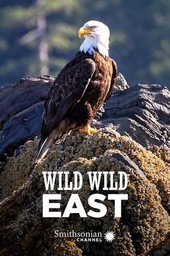 Wild Wild East Where To Watch And Stream