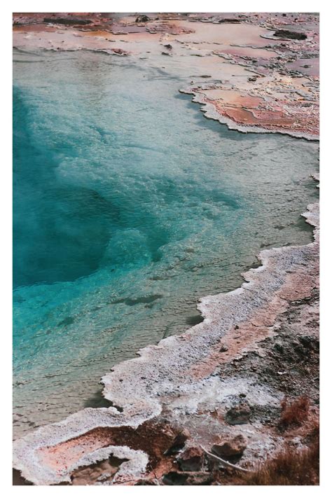 Yellowstone Postcard Print