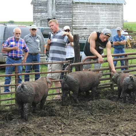 Feeding Small Grains to Pigs - Practical Farmers of Iowa