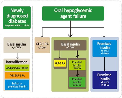 Diabetes Mellitus Type 2 Treatment Guidelines