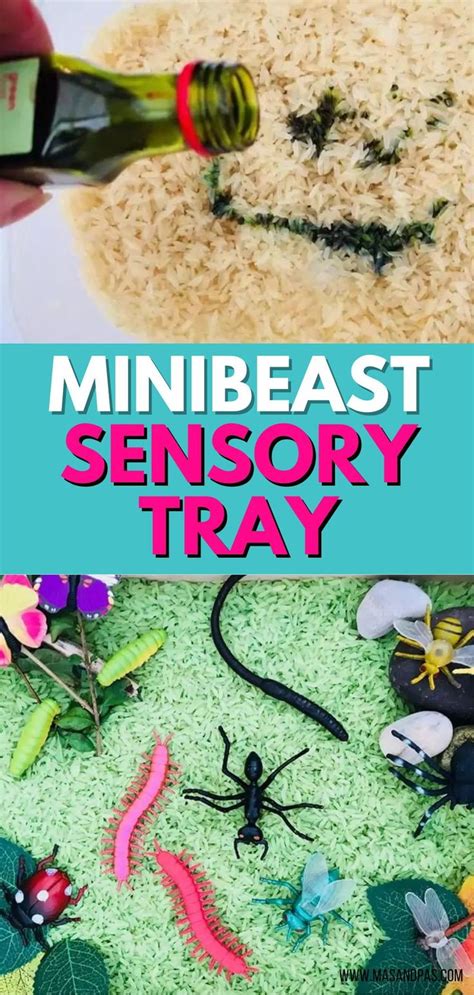 Minibeast Sensory Tray In 2024 Indoor Activities For Kids Preschool