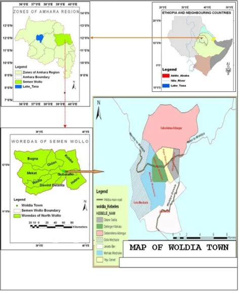 View Of A Survey Of Solid Waste Management Services In Woldya Town