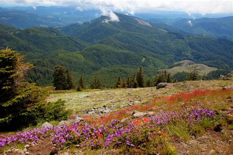 Fun Things To Do In Corvallis Oregon Quartzmountain