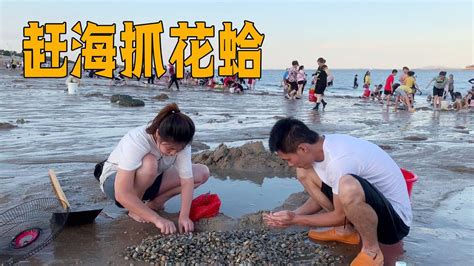 带阿欢体验赶海挖花蛤，随便挖半个小时就有几十斤，满满的成就感【青妹妹】 Youtube