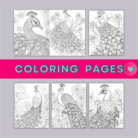 Printable Coloring Page Peacock Coloring Page Grayscale  Printable Pdf Instant Download Birds