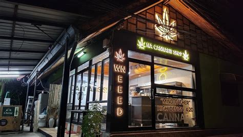 Top Rated Cannabis Dispensaries In Koh Phangan Review