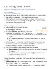 Cell Bio Final Exam Review Docx Converted Docx Cell Biology Exam