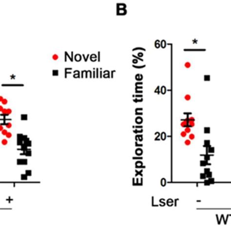 Oral Administration Of L Serine Improved Novel Object Recognition NOR