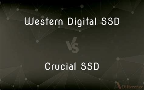 Western Digital SSD Vs Crucial SSD Whats The Difference