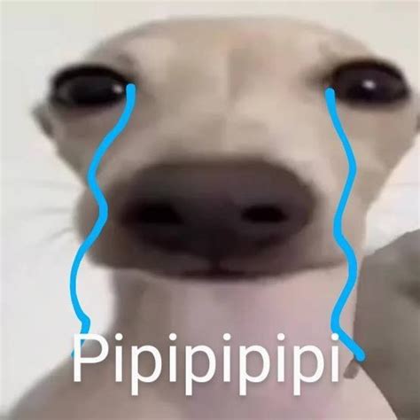 Pin De Eo En Eo Imagenes Llorando Humor De Adolescentes Imagenes