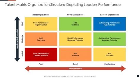 Talent Matrix Organization Structure Depicting Leaders Performance