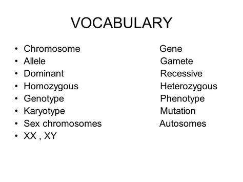 Genetics Heredity And Chromosomes Instructions Please Define Vocabulary Words And Answer