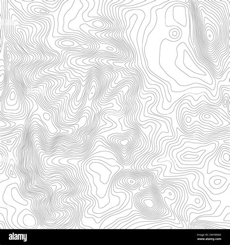 Seamless Vector Topographic Map Background Line Topography Map