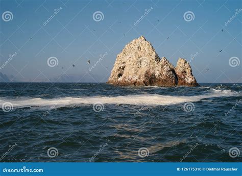 Islas Ballestas, Guano Islands Off Peru Stock Photo - Image of holiday ...