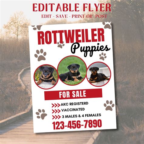 Puppies For Sale Dog Flyer Dog Flyer Cat Flyer Puppies Breeder