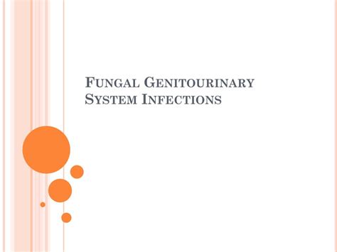 Ppt Fungal Genitourinary System Infections Powerpoint Presentation