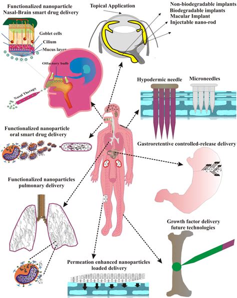 Polymer Nanoparticles For Smart Drug Delivery Intechopen