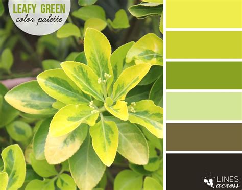 Leafy Green Color Palette - Lines Across