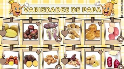 Variedades de papa en el Perú Las más usadas en las comidas