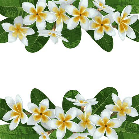 Plumeria Tropical Border 3445190 Vector Art At Vecteezy