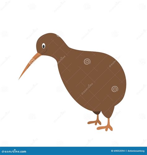 Cute Cartoon Kiwi Vector Illustration Stock Vector Illustration Of