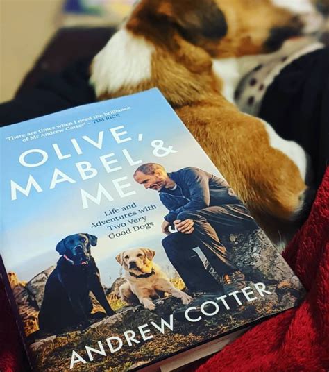 Olive Mabel And Me Andrew Cotter Books By Your Bedside