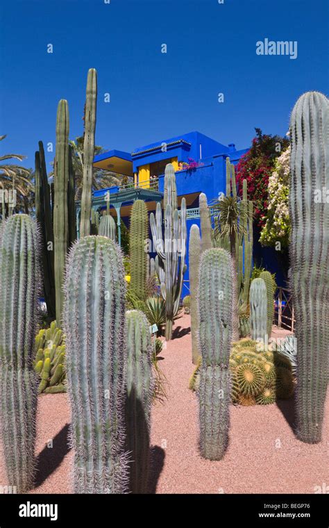 Majorelle Garden Marrakech Morocco Stock Photo - Alamy