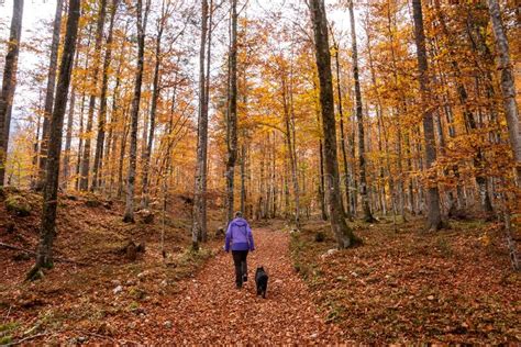 Hiking Through The Vrata Valley In Autumn Triglav National Park In