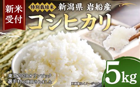 令和5年産 新米特集｜マイナビふるさと納税