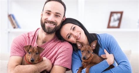 Perros Y Relaciones De Pareja Cómo Influyen Y Qué Aportan Bekia Mascotas