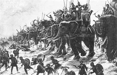 Where did Hannibal get Elephants for his Famous battles? | Annoyz View