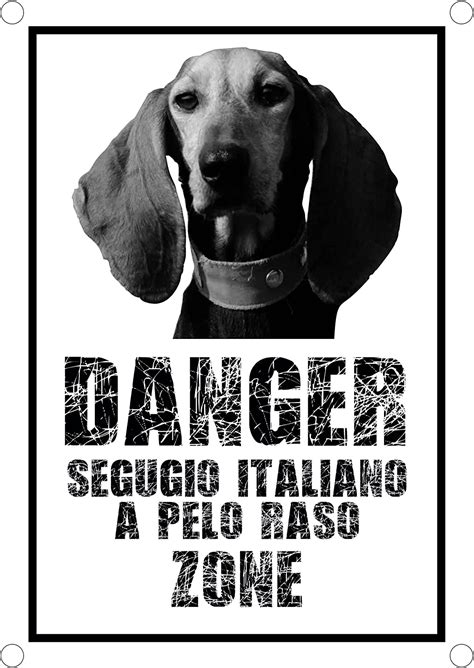 Danger Segugio Italiano A Pelo Raso Zone Cartello Attenti Al Cane In