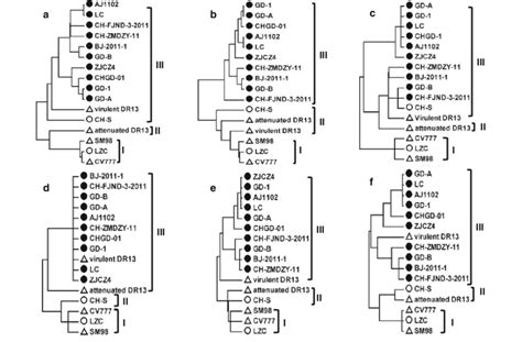 Phylogenetic Analysis Of The Current Chinese Pedv Strains And